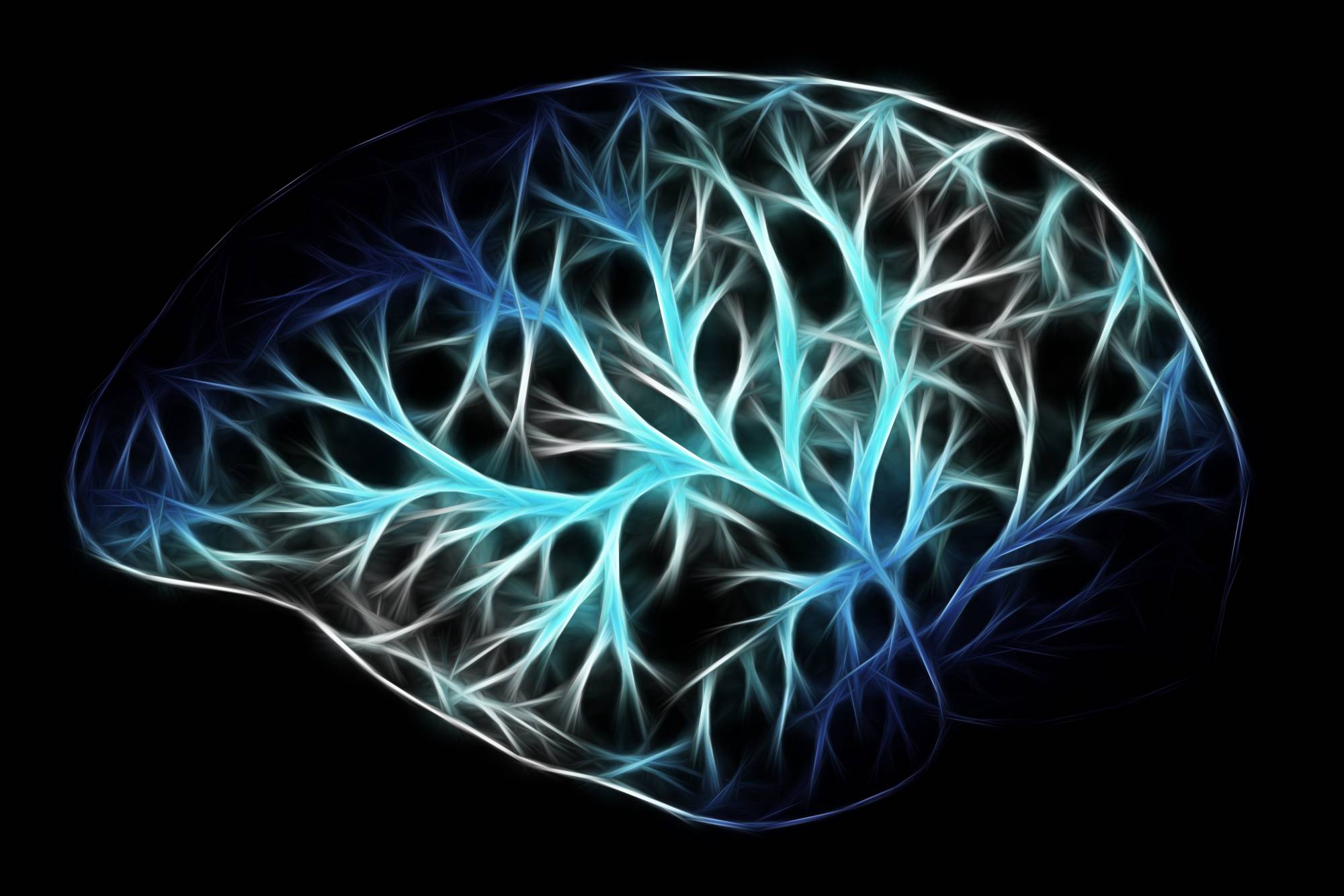 The Neuroscience of Virtual Reality & Health Axon Park